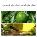ماسک صورت بایو آکوا مدل ورقه ای آووکادو - Image 4